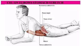 练完腹肌要拉伸放松吗 