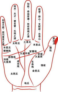 食指的手相分析一个人的性格及命运好不好(食指有什么性格)