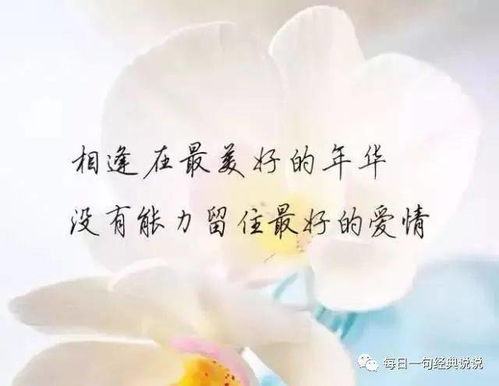 一秒泪崩的句子,句句痛入骨髓