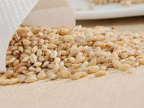 燕麦和大麦一样吗有什么区别,燕麦和大麦哪个好吃？