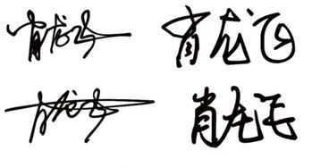 肖龙飞艺术签名怎么写 