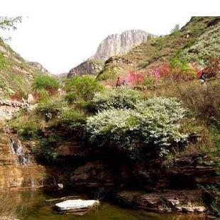 江西九江庐山桃花源景区