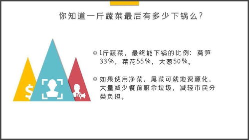 垃圾分类的若干冷知识拍了拍你