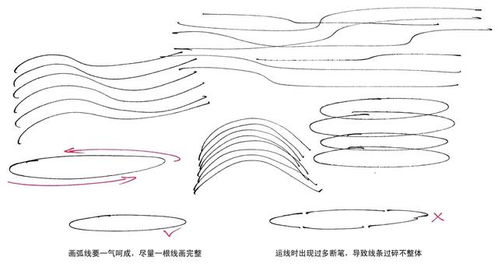 画画必学知识 线条是手绘表现重要根本,是学习手绘的第一步