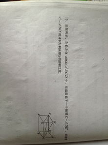 求解高一数学题 