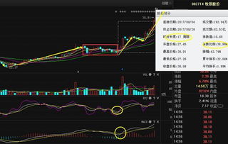 用什么量化指标选出第二天一字板股票