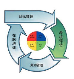 绩效管理专员的介绍