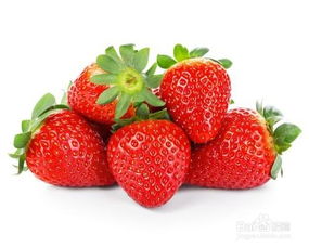 如何种草莓种子,草莓籽种植方法全过程？