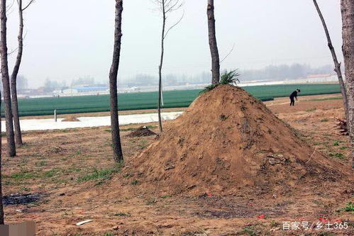 农村俗语 雨淋新坟,辈辈出侯 专家 不能盲目偏信