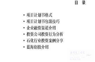 项目包装宣传与投融资渠道主要内容 项目包装宣传与投融资渠道 