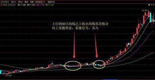 一个出租车司机给我上的炒股课 读懂此文,炒股从此无大过