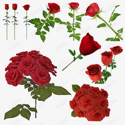 带刺的玫瑰素材图片免费下载 高清装饰图案png 千库网 图片编号5298809 