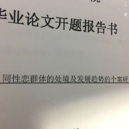 同性婚姻毕业论文