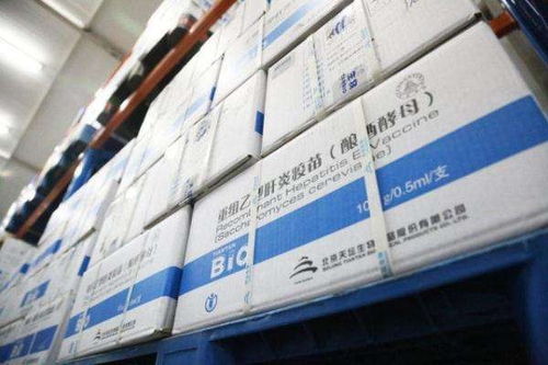 2021下半年上海到绍兴坚果制品冷链物流公司有哪些