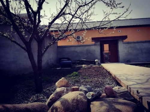 北京有带院子的农村平房小院出租吗 专门出租农房的网站都有