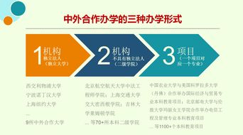 成都大学中外合作办学分数线2021