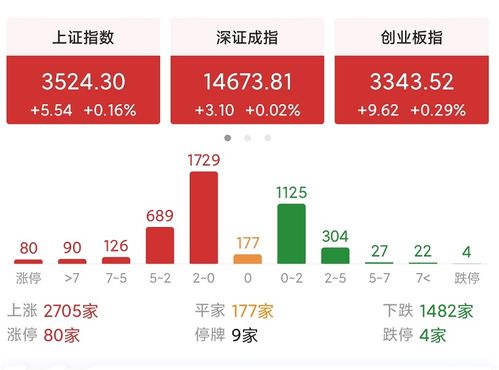 什么是弱势反弹位