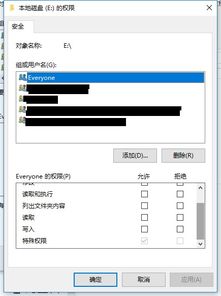 有人知道图中这个电脑E盘的特殊权限指的是什么吗？