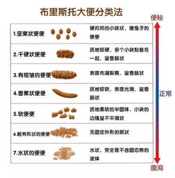 腹泻时你该怎么办 