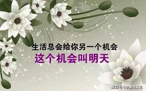 最霸气的女生个性签名,句句犀利,酷到让人尖叫