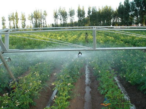 在农村进行土地灌溉的时候,是大水漫灌好还是滴灌好 