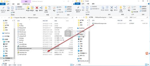 Webcam Surveyor破解版 视频捕捉工具下载 v3.7.5 破解版 安下载 