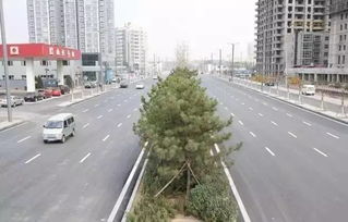 太原又有十条道路将改造,看看哪条路经过你家门口