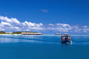 马尔代夫七星岛旅游攻略七天六晚玩转天堂岛看海豚潜水浮潜SPA全搞定！