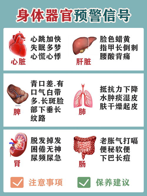 一图看懂 人体器官健康预警表 