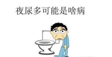 为什么正常人白天尿多晚上尿少