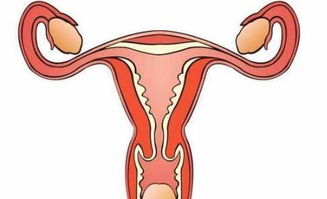 输卵管堵塞的10个征兆？输卵管堵塞一般会有哪些症状啊