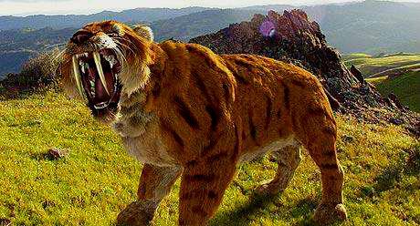 史前动物比现在的动物更大更凶猛