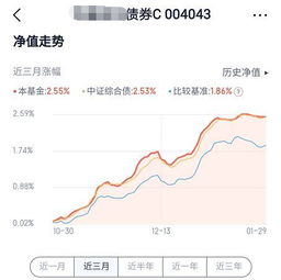 债券基金怎么持有金额会变少了?但是利息还有几百元啊。如果你说亏损了，应该是利息这边啊。例如1w本金