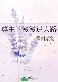 尊主的漫漫追夫路 雾雨蒙蒙 