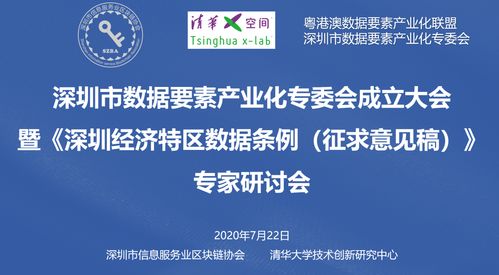 专家研讨 深圳数据条例,开启数据经济新时代 