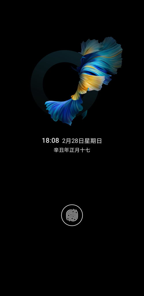 未来之翼主题 IOS状态栏 IOS图标 华为Mate40系列分享交流 花粉俱乐部 