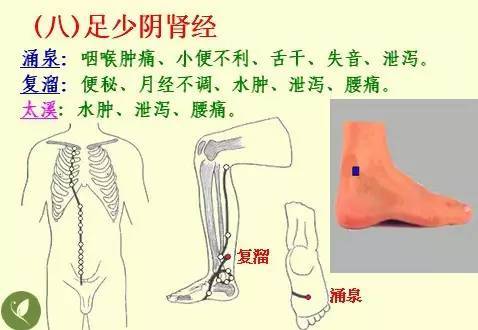 NU SKIN如新SPA机 经络穴位详解 