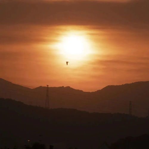 日落背景图 私奔吗在太阳落山前