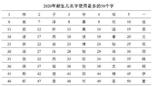 你的名字是全国爆款吗