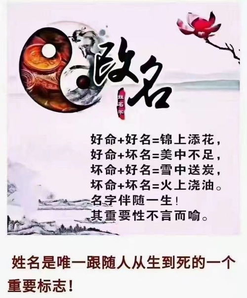 姓名学/测字