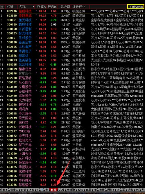 通达信可以自定义排名吗？