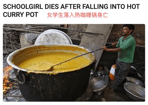 有多少印度人掉进了自己做的咖喱锅里