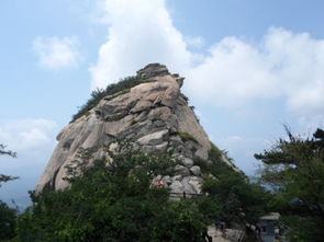 鸡公山在哪里鸡公山门票鸡公山游玩攻略(信阳鸡公山停车场收费标准)