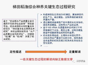 实验作品查重策略：如何高效地进行查重