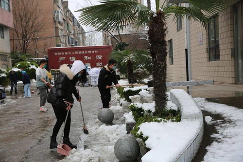 郑州市九院 扫雪护行 情暖人心