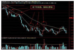 请问高手，怎么才能选出某年某月某日收阳线的股票，例如：2003年03月03日收阳线的股票。谢谢。