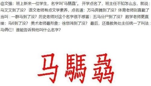 是 姓爸爸,给龙凤胎取名犯了难,爷爷说完名字后全家拍手称好