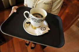 巴厘岛必尝 世界上最昂贵的猫屎咖啡 