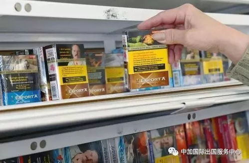 石家庄香烟批发中心，一站式购齐各类烟草产品 - 4 - 635香烟网