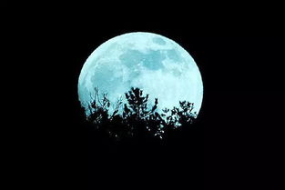 关于秋天月亮的诗句5首